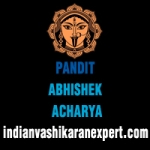 Abhishek Acharya profile picture