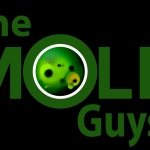 The Mold Guys Profile Picture